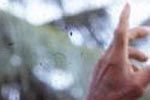 Deaf-mute Sign Language 