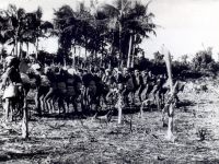 1959