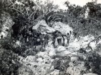 1925