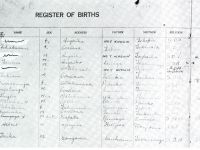 1956
